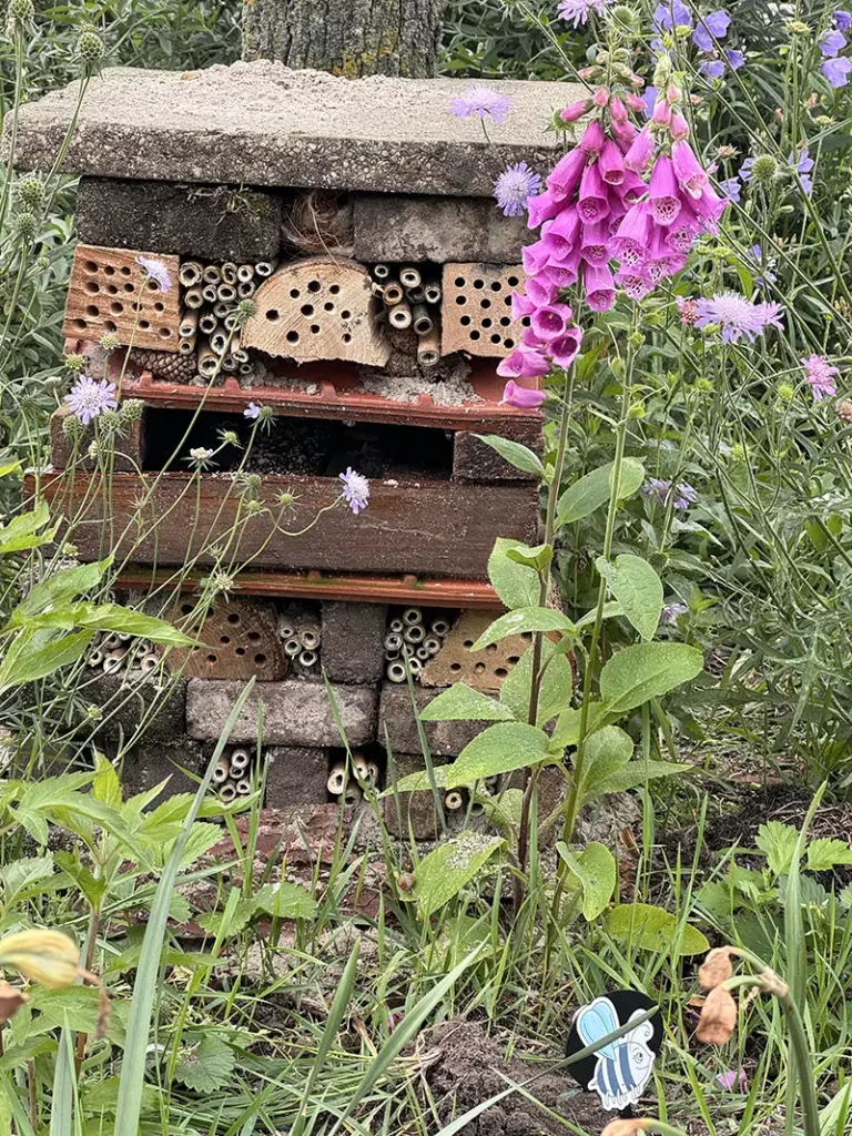 Ilona Hartensveld Fotografie