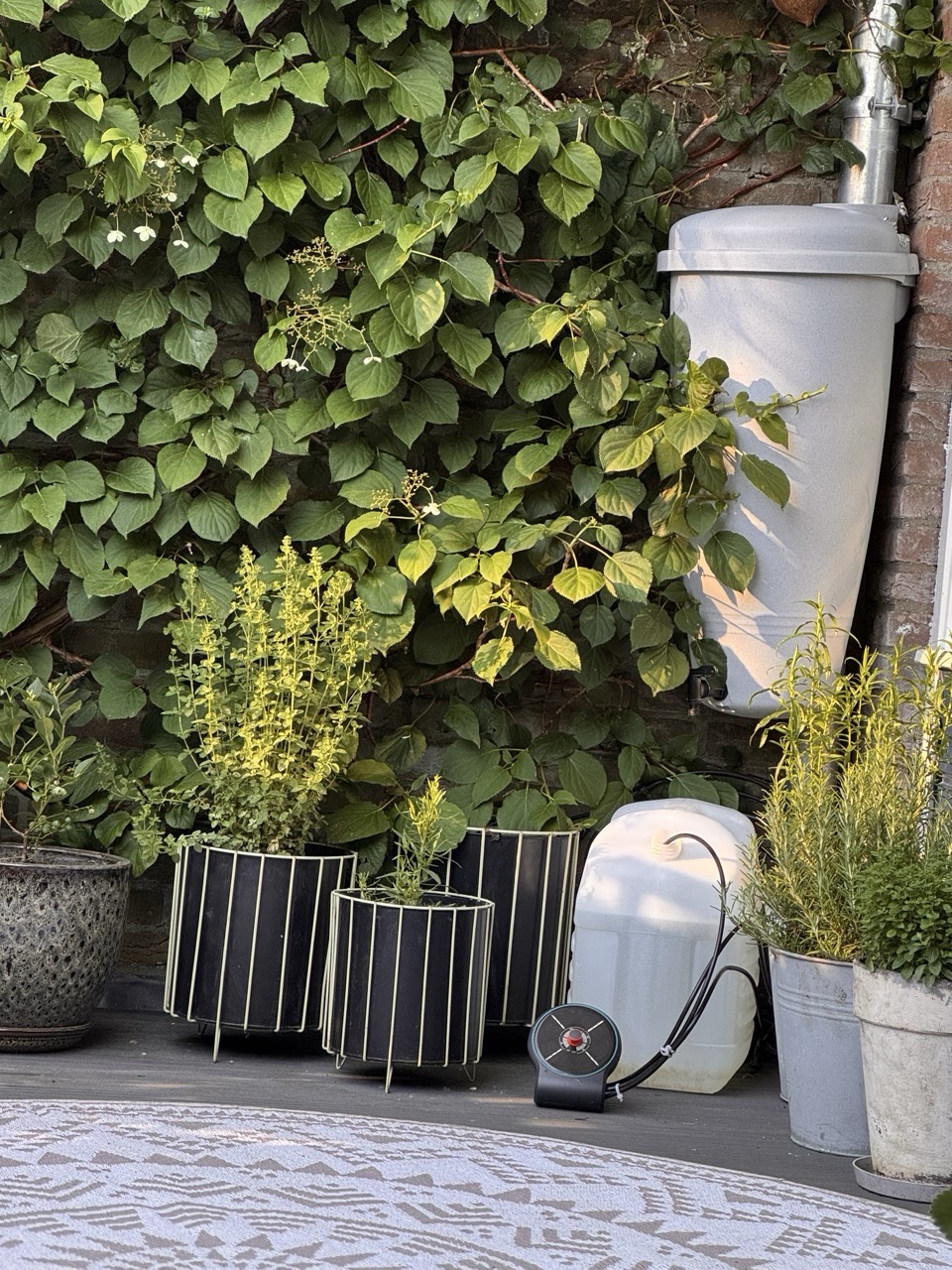 Regenton met plantenpotten en klimop